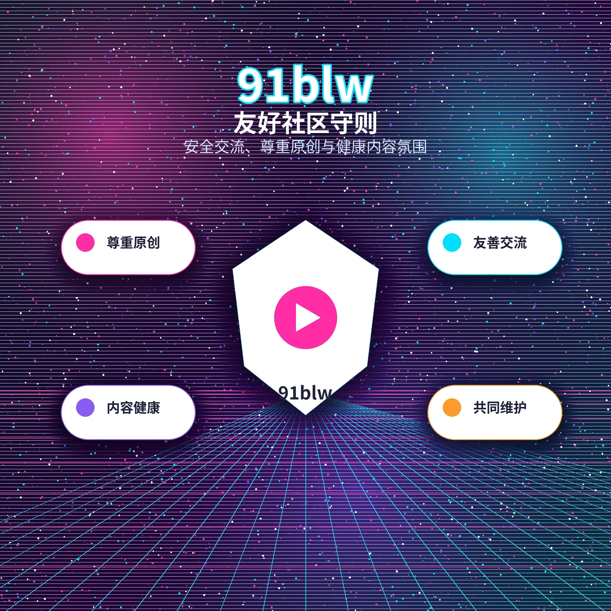 91网理性社交服务展示